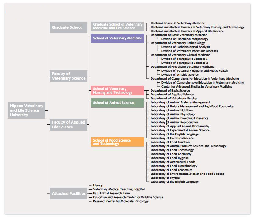 Organization chart