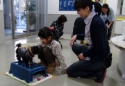 子犬と子供