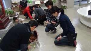 キャリーに入れる