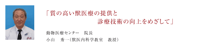 物いわぬ動物達と向き合う、動物医療の最先端施設と高度な獣医療教育を学ぶ場