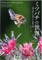 ミツバチの世界