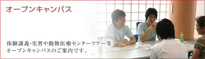 オープンキャンパスタイトル