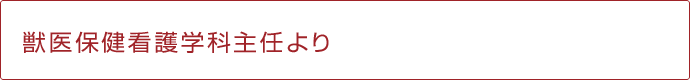 保険看護学科タイトル