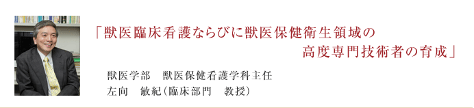 「獣医臨床看護ならびに獣医保健衛生領域の高度専門技術者の育成」　獣医学部　獣医保健看護学科主任　左向　敏紀（応用部門　教授）