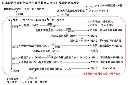 メッセージ用画像