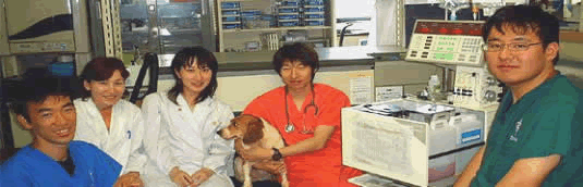 獣医内科学教室