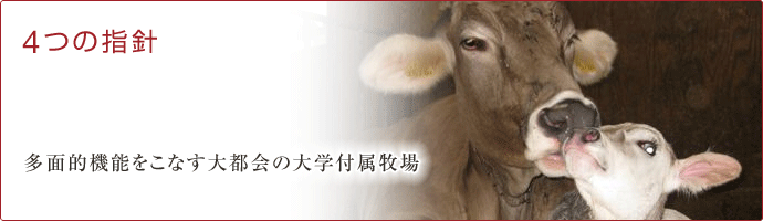 4つの指針タイトル