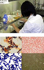 研究の様子