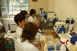 研究の様子