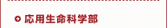 応用生命学部