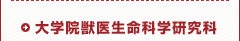 大学院獣医生命科学研究科