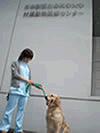 補助犬１