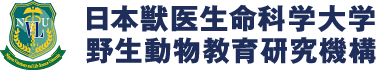 ロゴ