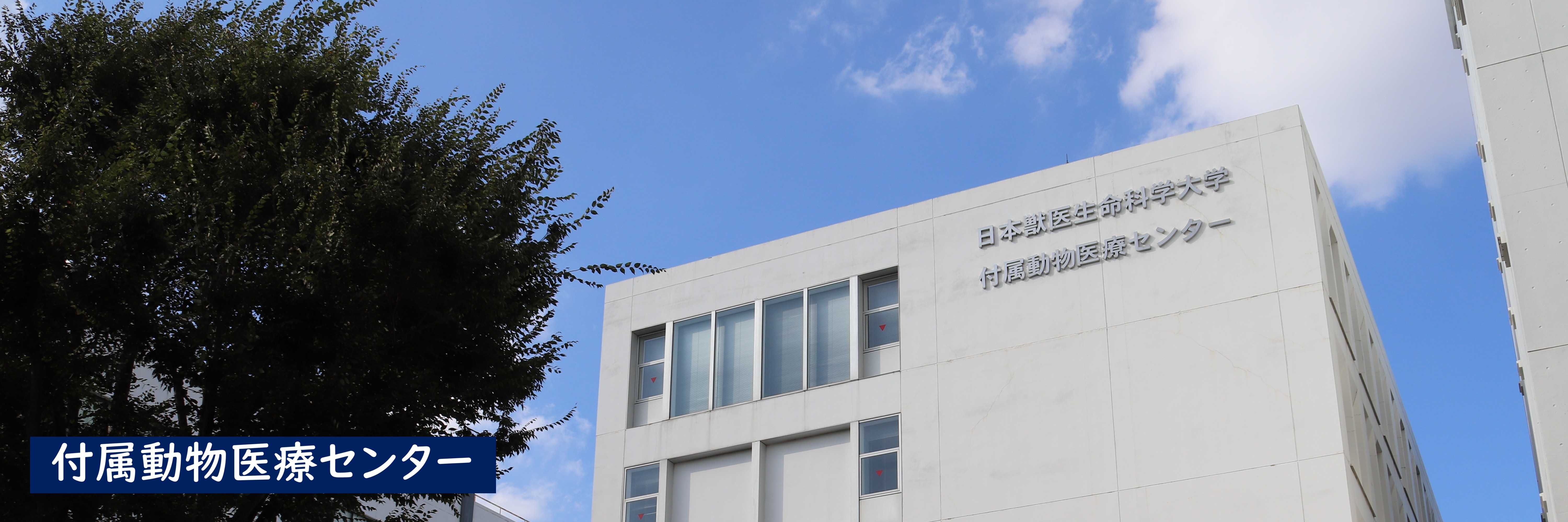 日本獣医生命科学大学付属動物医療センター