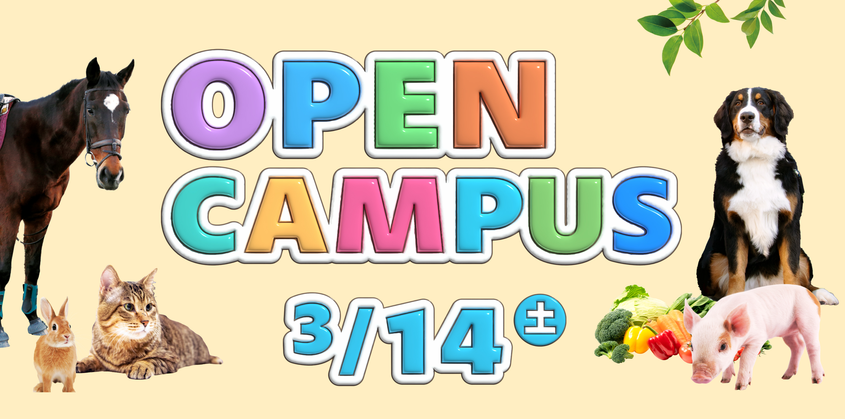 オープンキャンパス