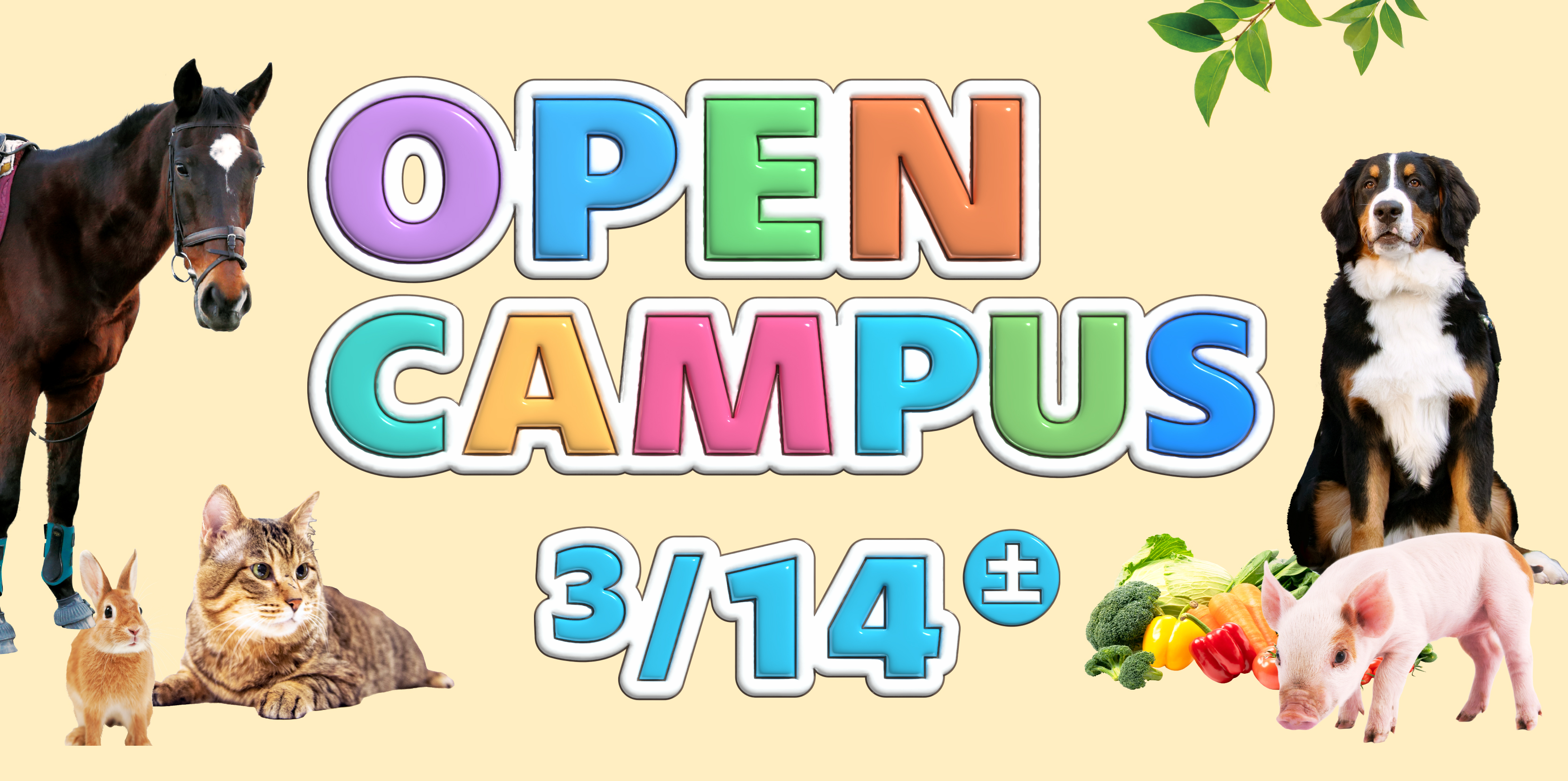 オープンキャンパス