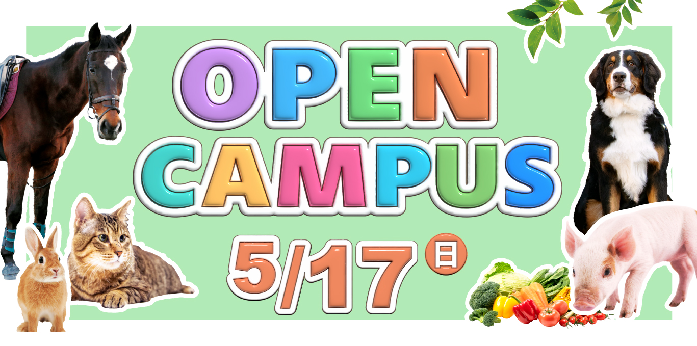 オープンキャンパス