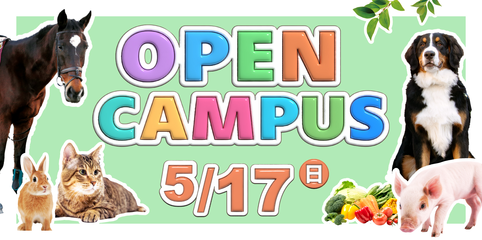 オープンキャンパス