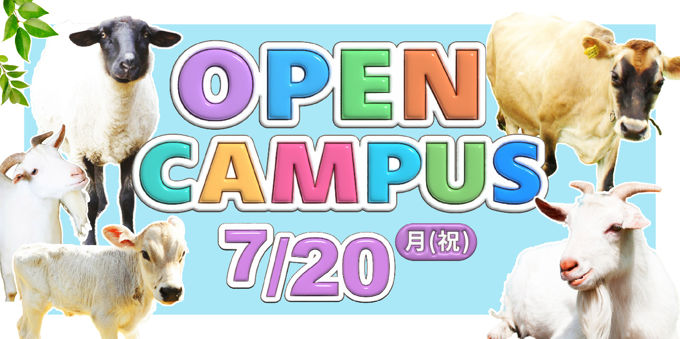 オープンキャンパス