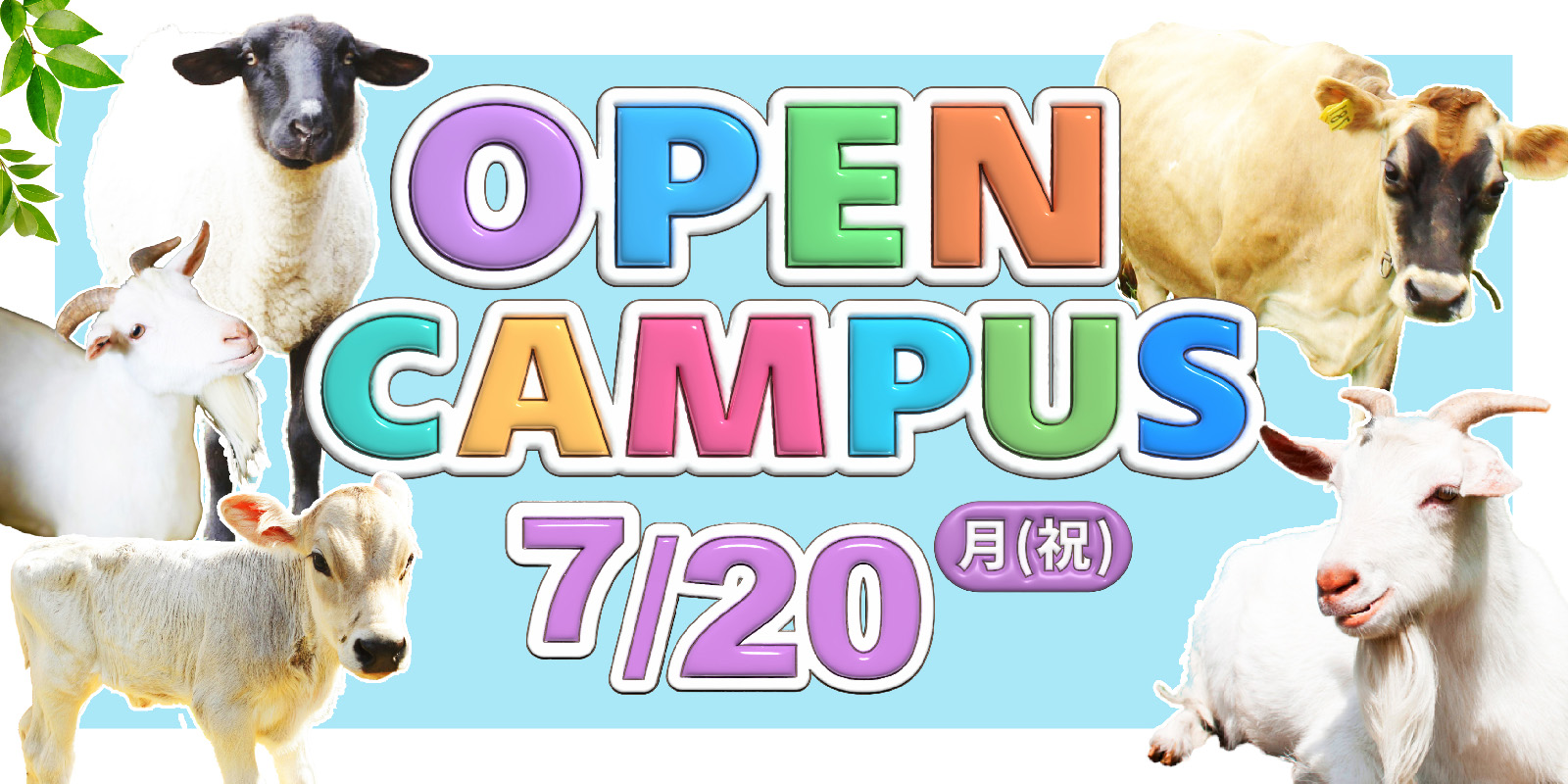 オープンキャンパス