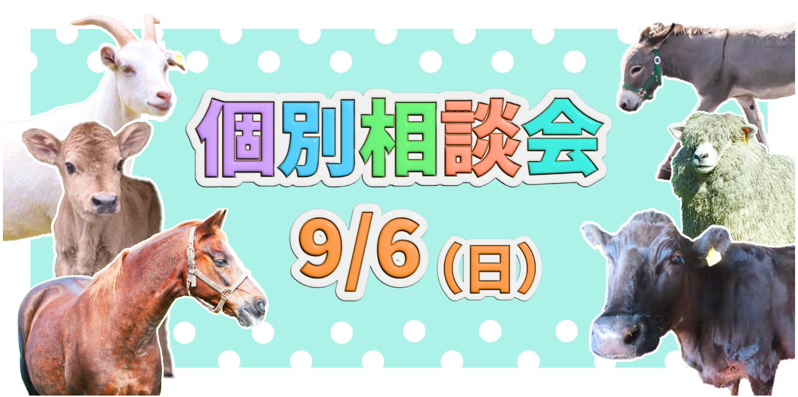 オープンキャンパス