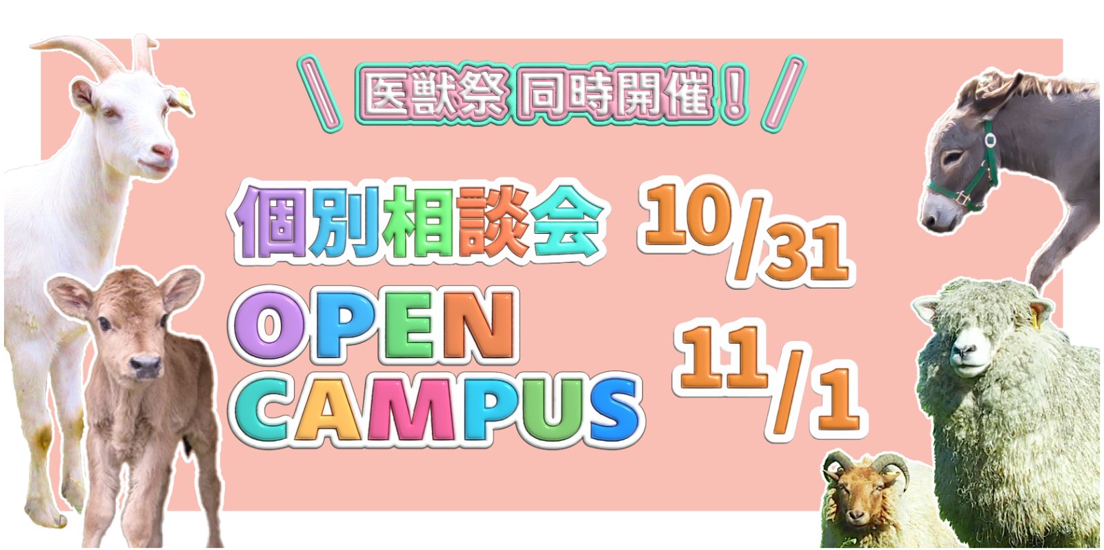 オープンキャンパス