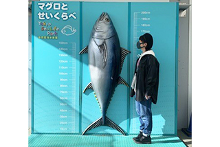 ニュースicon