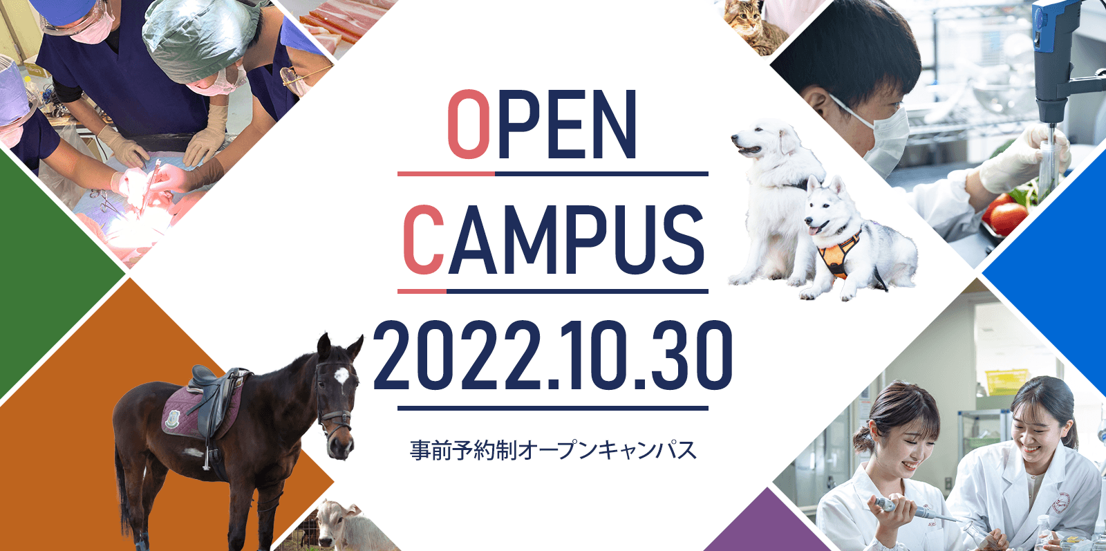 10月30日（日）オープンキャンパスを開催します！　～10月17日（月）午前7時30分から申し込み受付開始～