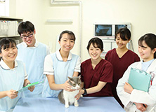 日本獣医生命科学大学