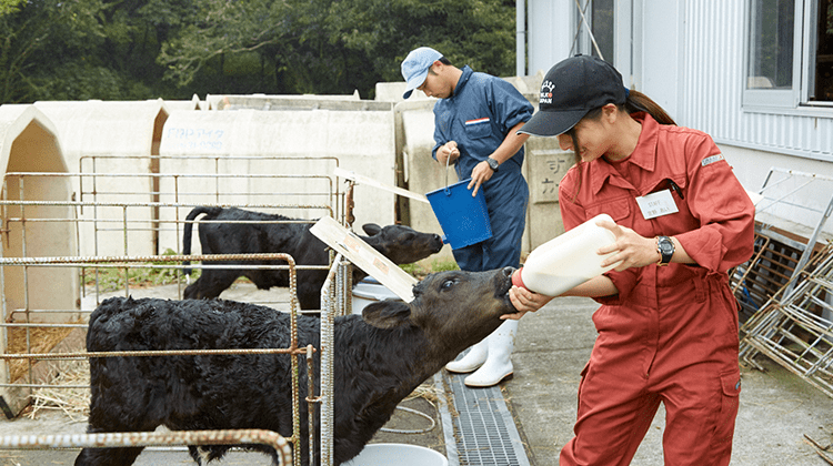 動物飼育管理実習