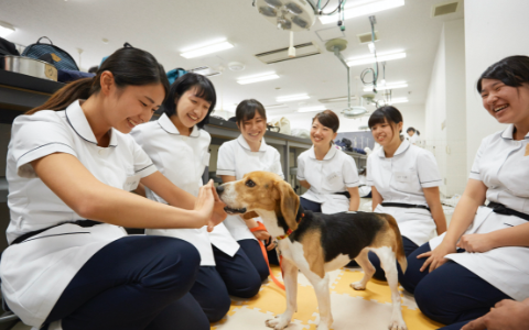 学部・大学院