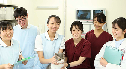 School of Veterinary Nursing and Technology