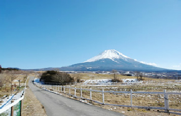 馬の放牧地