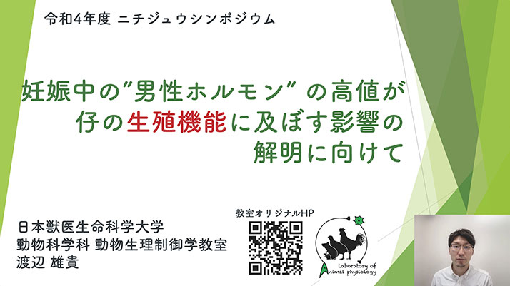 「妊娠中の”男性ホルモン”の高値が仔の生殖機能に及ぼす影響の解明に向けて」