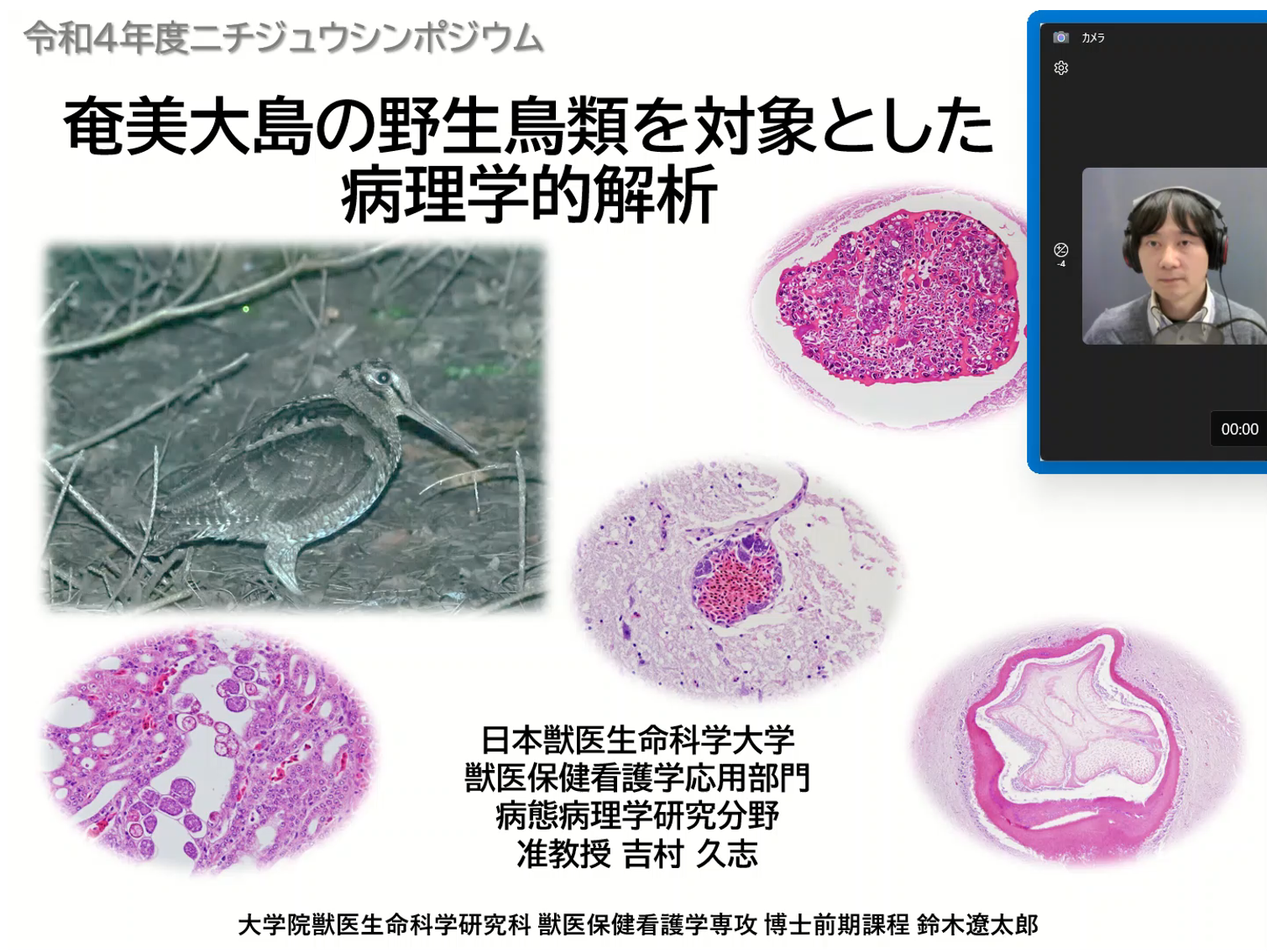 「奄美大島の野生鳥類を対象とした病理学的解析」