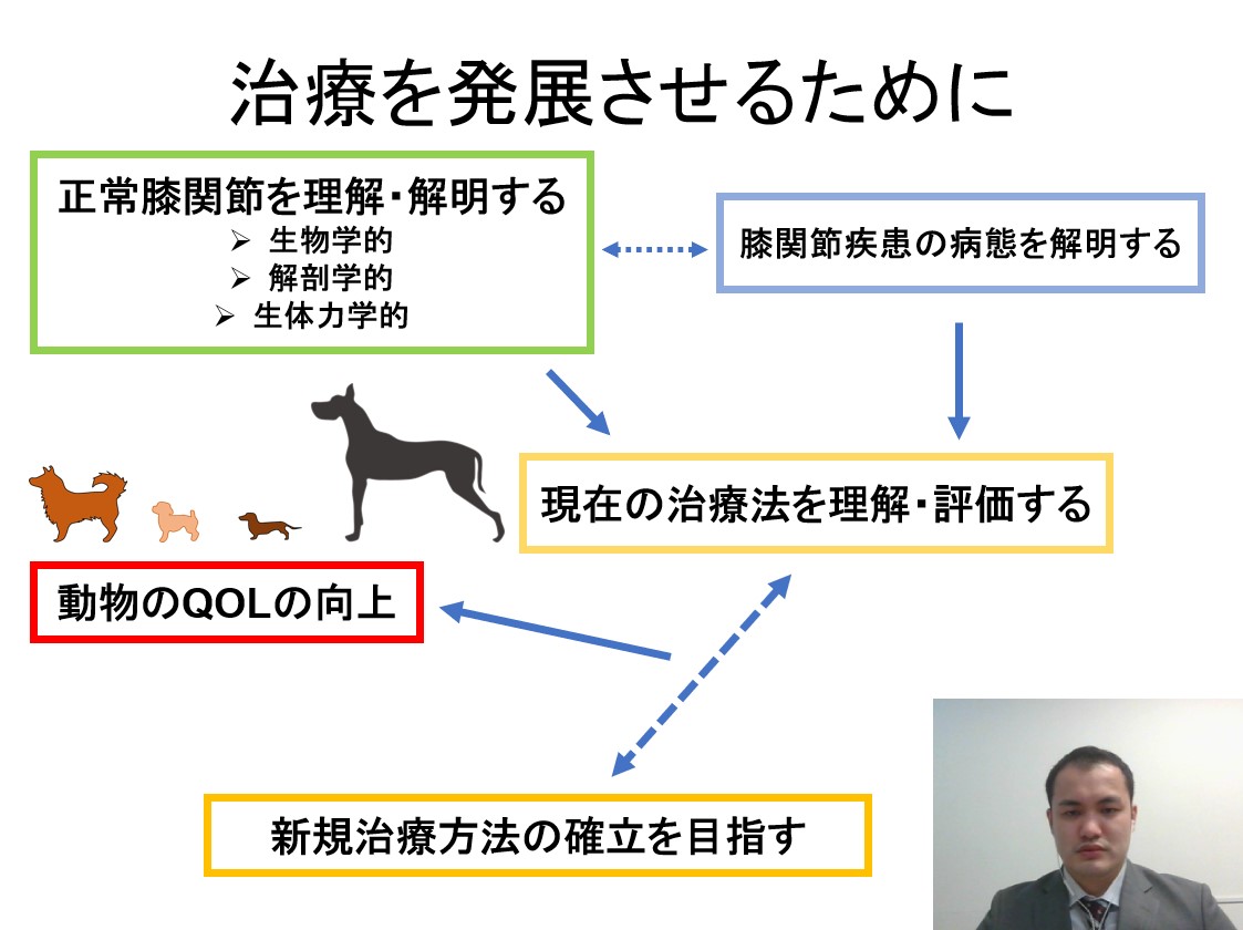 「膝関節の正常な機能を取り戻す治療を目指して」