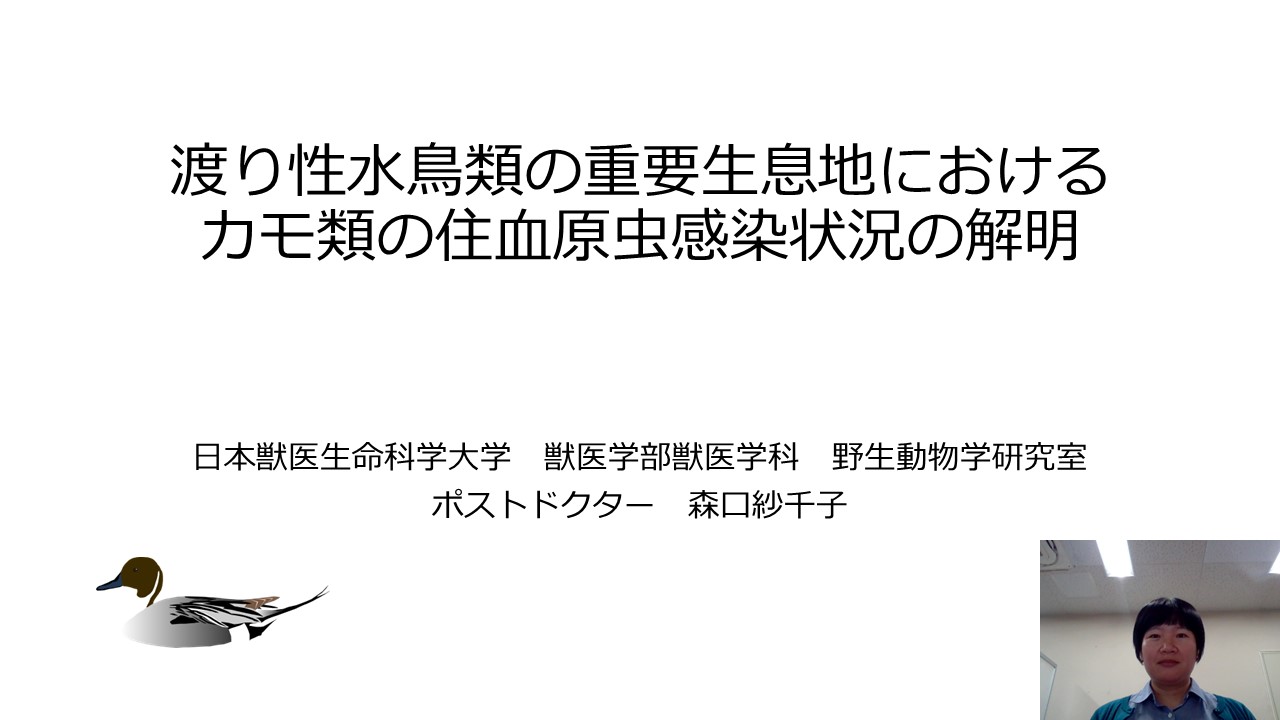 「渡り性水鳥類の重要生息地におけるカモ類の住血原虫感染状況の解明」