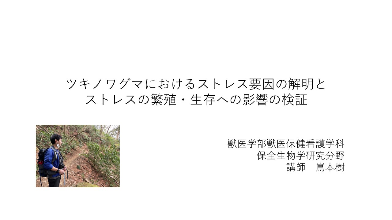 「ツキノワグマにおけるストレス要因の解明とストレスの繁殖・生存への影響の検証」