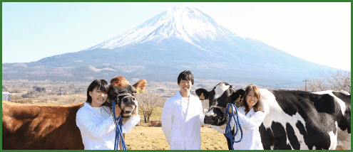 生命 大学 ポータル 獣医 日本 科学