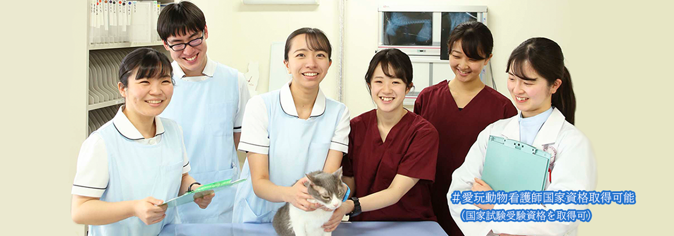 最先端の獣医療を学び時代のニーズに応える獣医師を育成