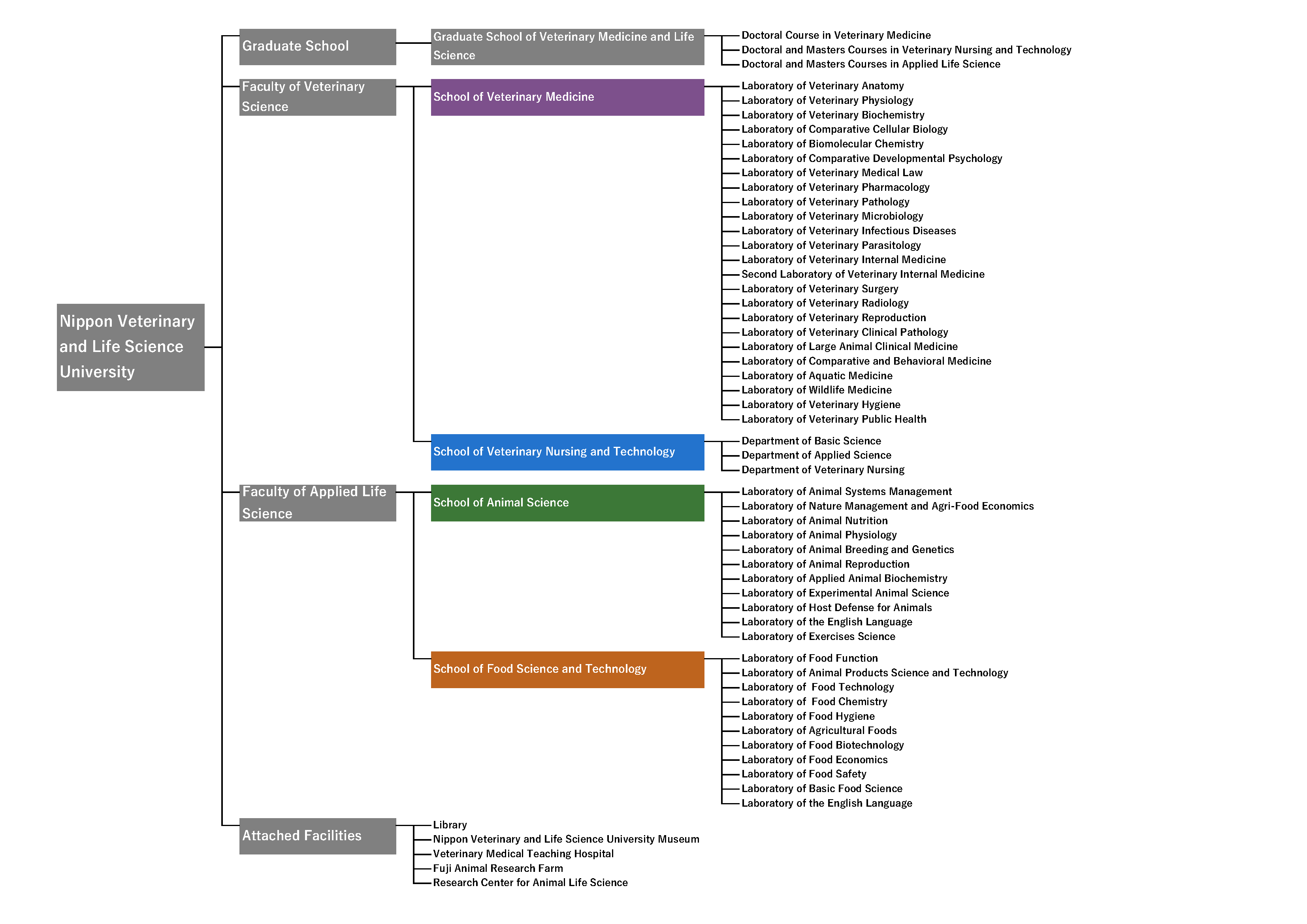 Organization chart