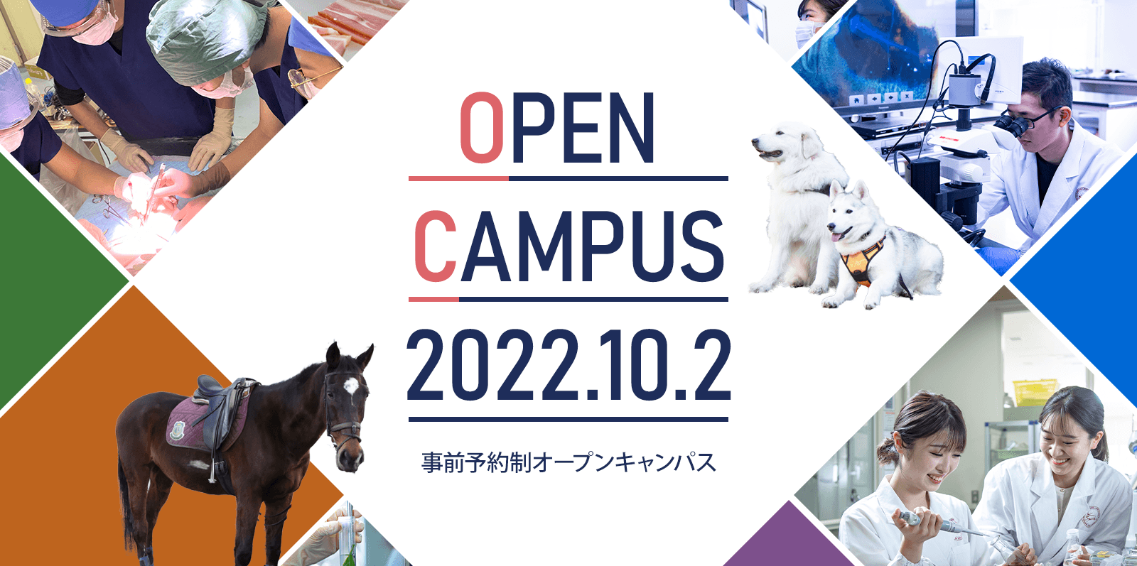 10月2日（日）オープンキャンパスを開催します！　～9月16日（金）午前7時30分から申し込み受付開始～