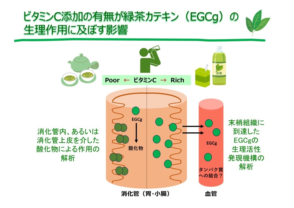 図1改訂版