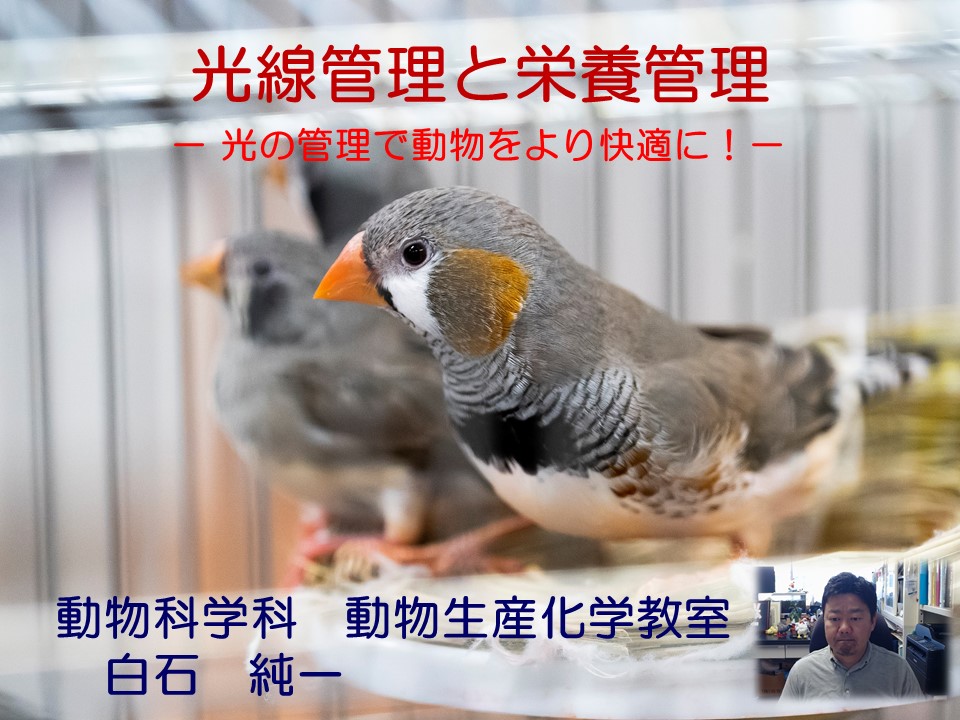 「光線管理と栄養管理-光の管理で動物をより快適に！」