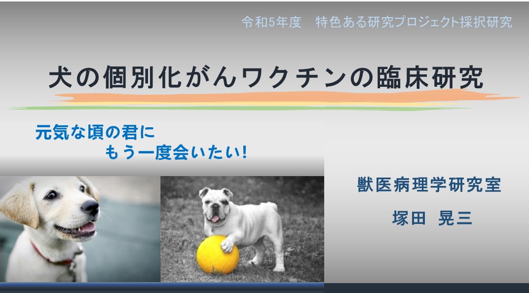 「犬の個別化がんワクチンの臨床研究」