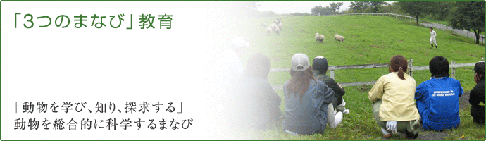 「3つのまなび」教育