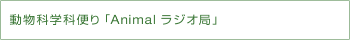 animalラジオ局