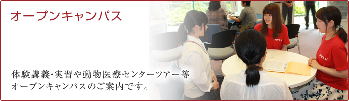 オープンキャンパスのご案内