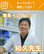 知久　和寛　准教授