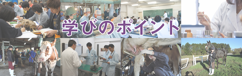 学びのポイント